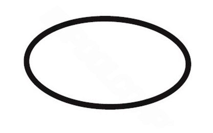 Waterway 805-0229 2" tailpiece O-ring front view