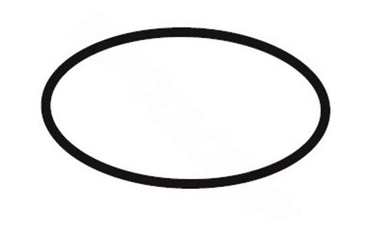 Waterway 805-0229 2" tailpiece O-ring front view