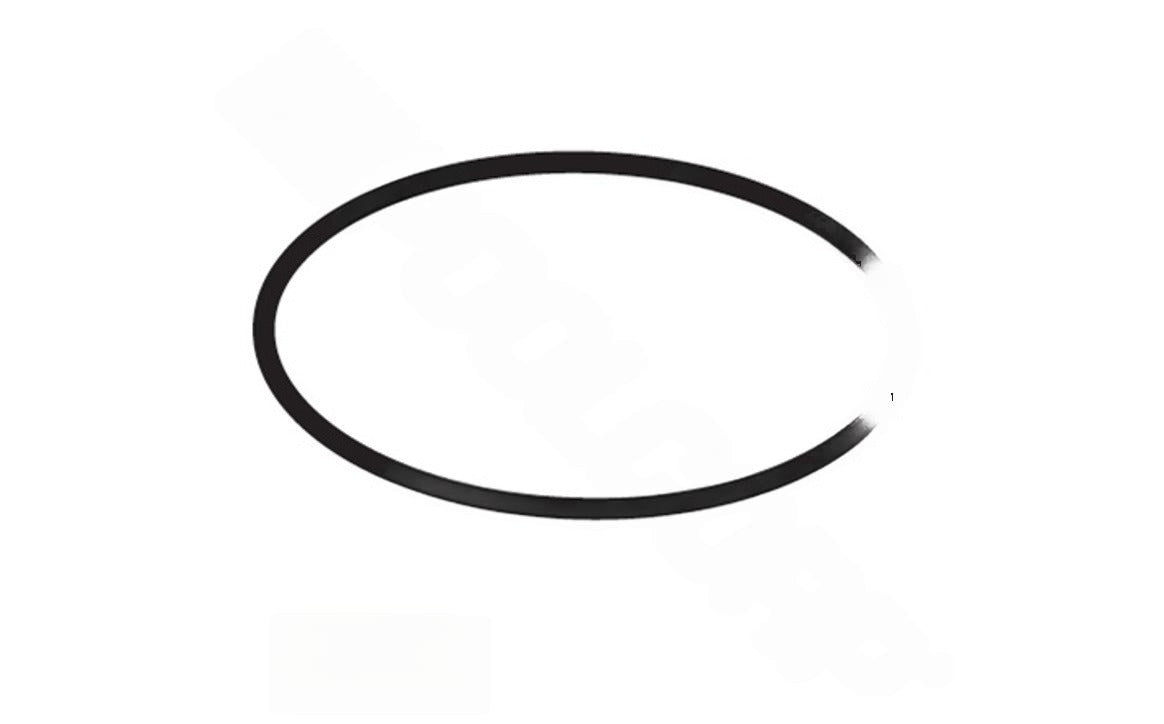 Waterway 805-0232 o-ring front view